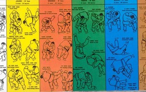 Perfectionnement technique (judo)