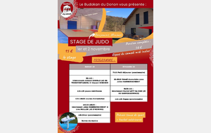 STAGE JUDO BENJAMINS/MINIMES