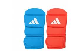 Jujitsu  Protege tibia / gants  achat à voir avec Luc
