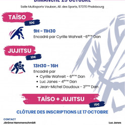 Stage Taiso jujitsu